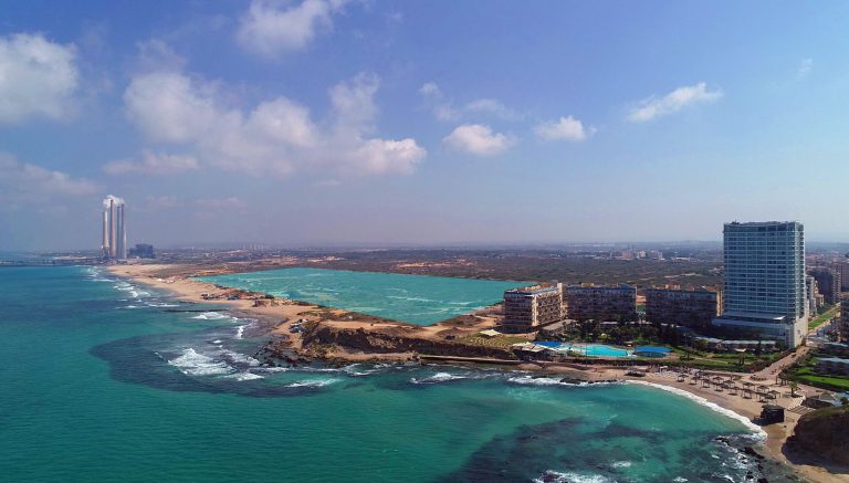 ניר צלליכין | רינה צלליכין