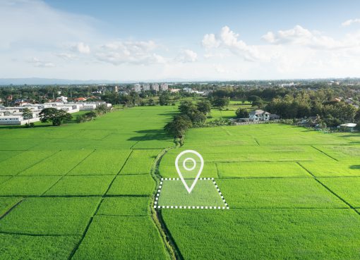 קרקעות למכירה בשדה דב