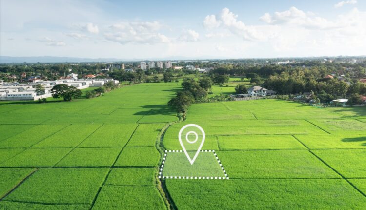 קרקעות למכירה בשדה דב