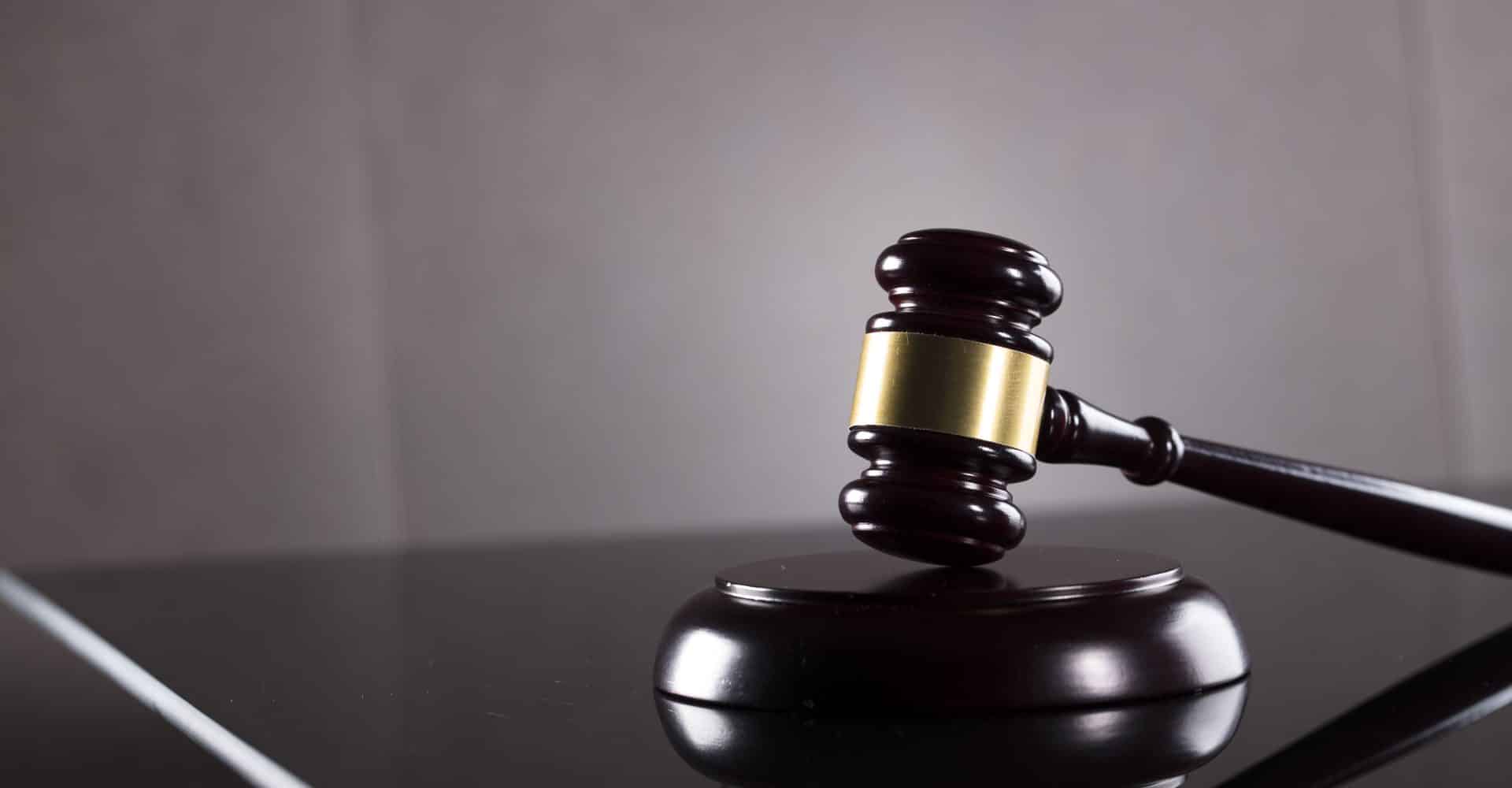 נשיכת כלב – סיכון, אחריות ודרכי התמודדות