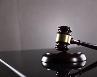 נשיכת כלב – סיכון, אחריות ודרכי התמודדות