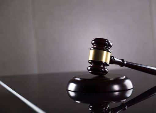 נשיכת כלב – סיכון, אחריות ודרכי התמודדות