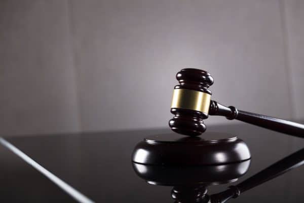 נשיכת כלב – סיכון, אחריות ודרכי התמודדות